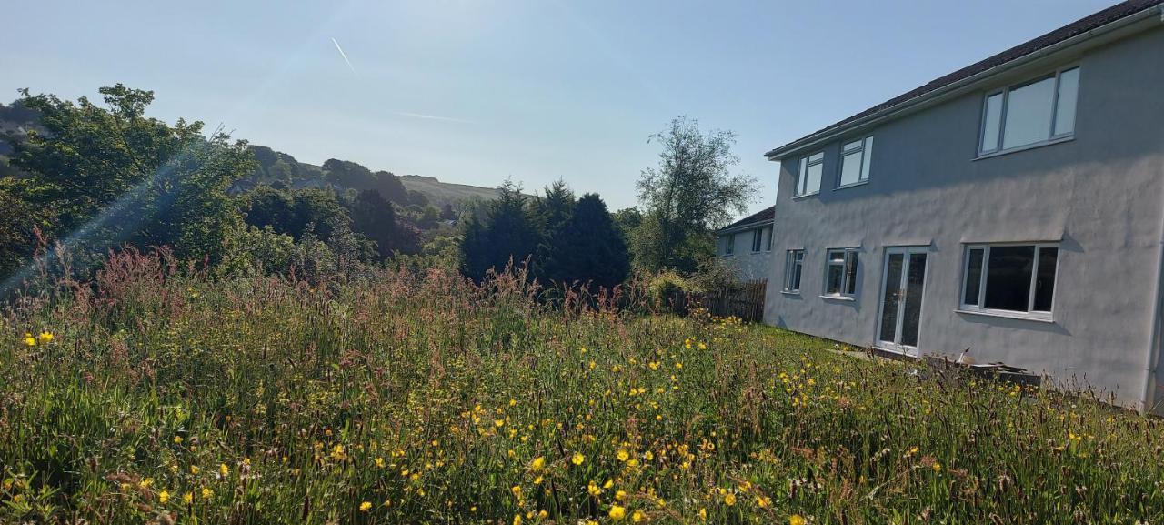 Highfield House, Parracombe, Modern B&B Kültér fotó